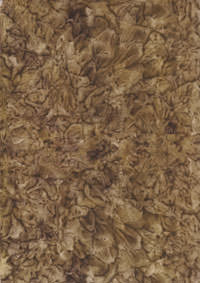 Weese Artur - München