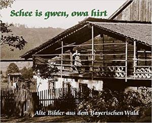 3955870626
