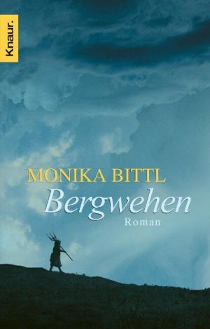 Bittl Monika - Bergwehen