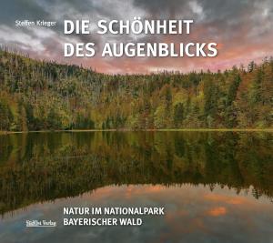 Krieger, Steffen - Die Schönheit des Augenblicks